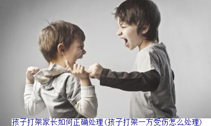 孩子打架家长如何正确处理(孩子打架一方受伤怎么处理)　(图1)