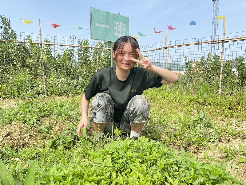 中学生网瘾现状及其影响