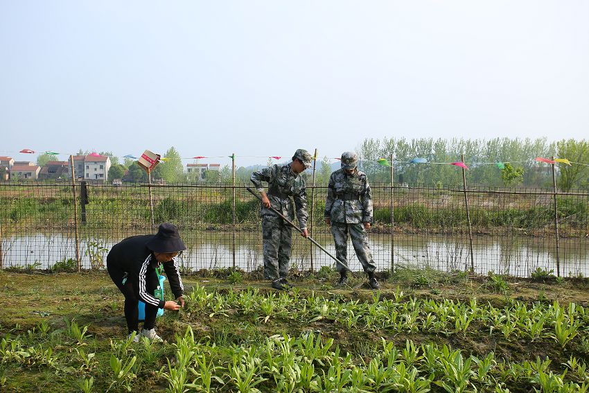 早恋是什么意思啊(早恋正常吗)