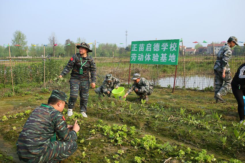 我早恋了怎么办(早恋的坏处)