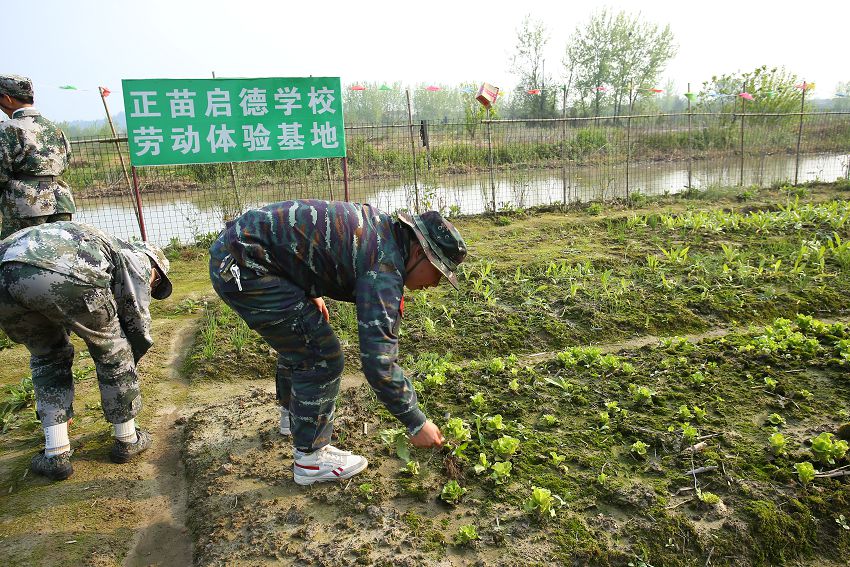 学生谈恋爱违法吗(学生谈恋爱家长要怎么教导)