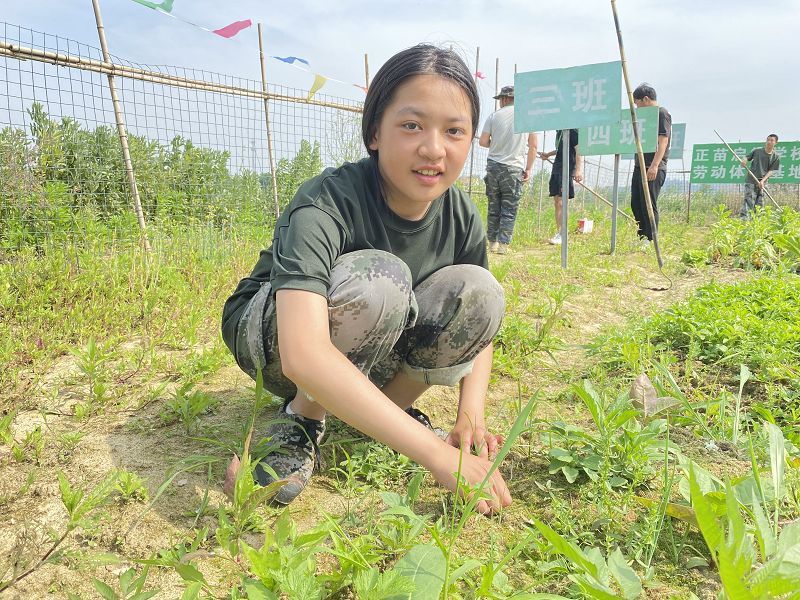 青春期孩子厌学(青春期孩子的教育方法）