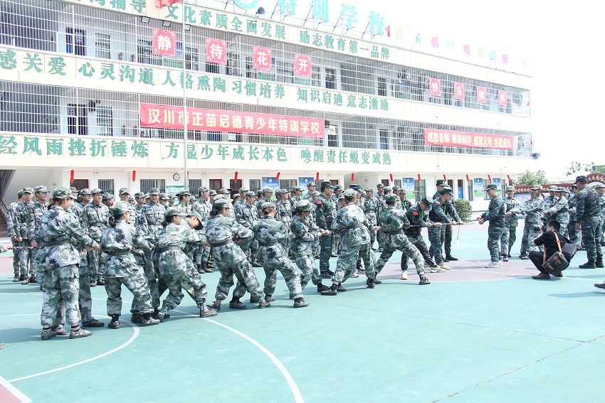 戒网专家：网瘾不是精神病(青少年玩手机上瘾怎么办)