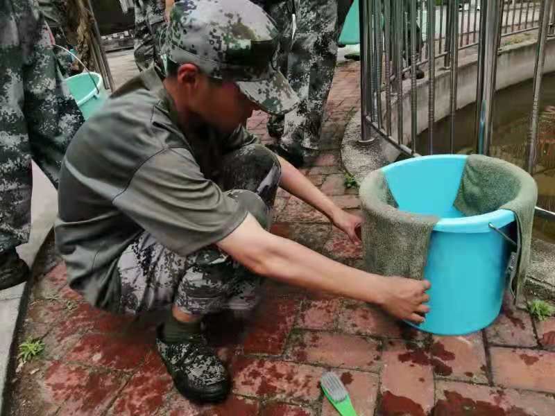 青春期的孩子一定会叛逆吗(应该怎么面对青春期的孩子)