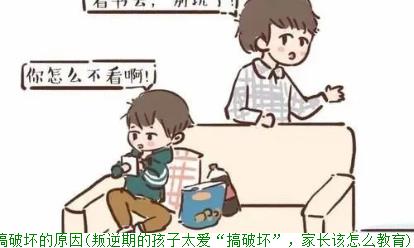 叛逆期的孩子太爱搞破坏的原因(叛逆期的孩子太爱“搞破坏”，家长该怎么教育)