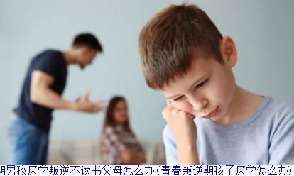 春期男孩厌学叛逆不读书父母怎么办(青春叛逆期孩子厌学怎么办)